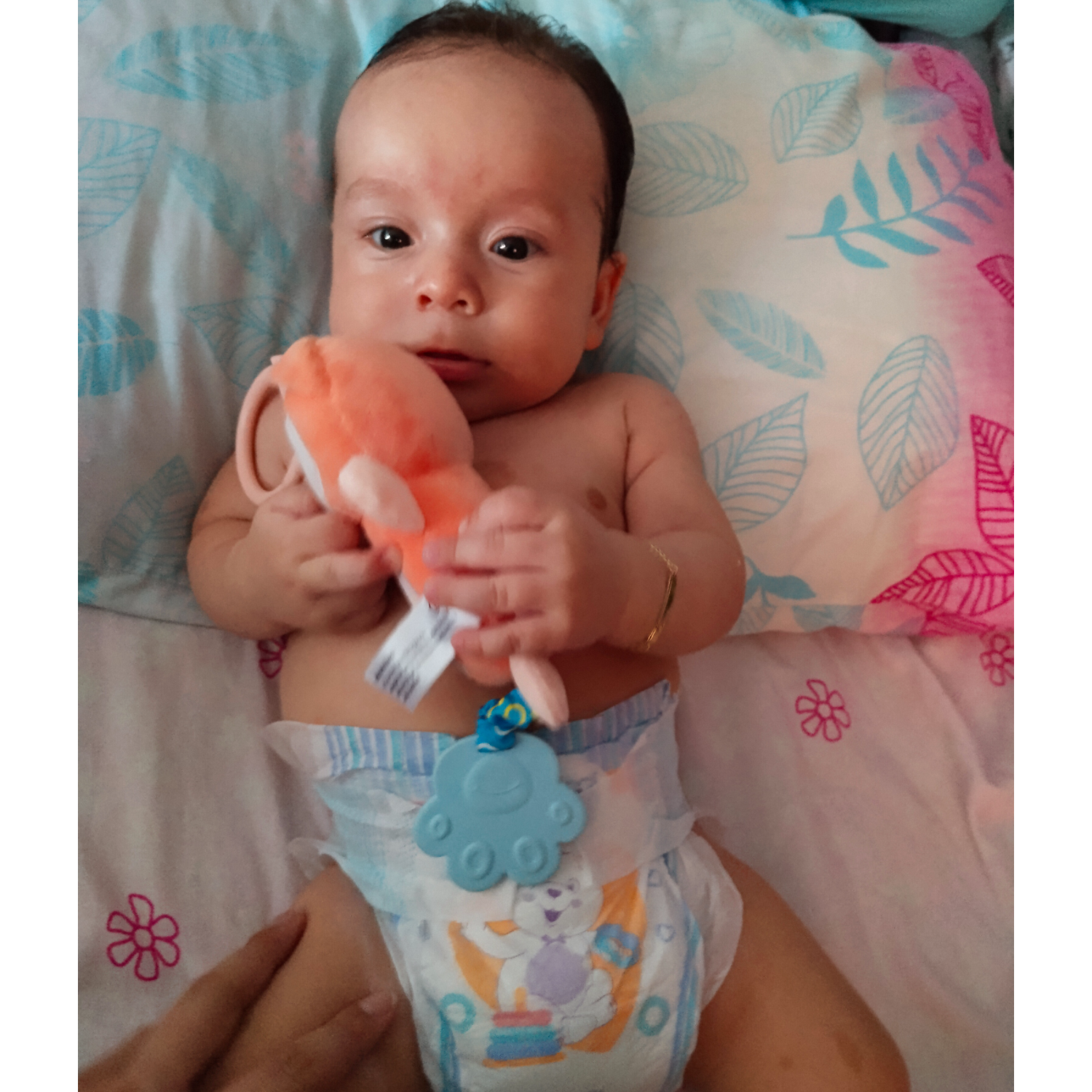 Foto de Arian Giovanny  Infante Rodríguez 