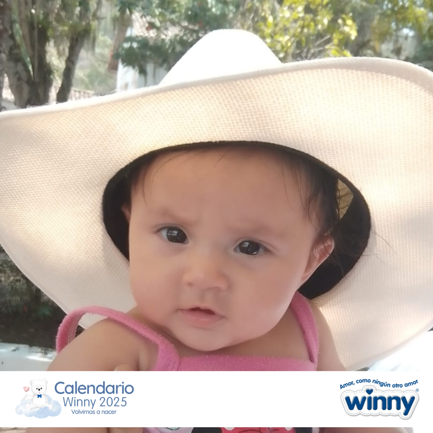 Calendario Winny 2024