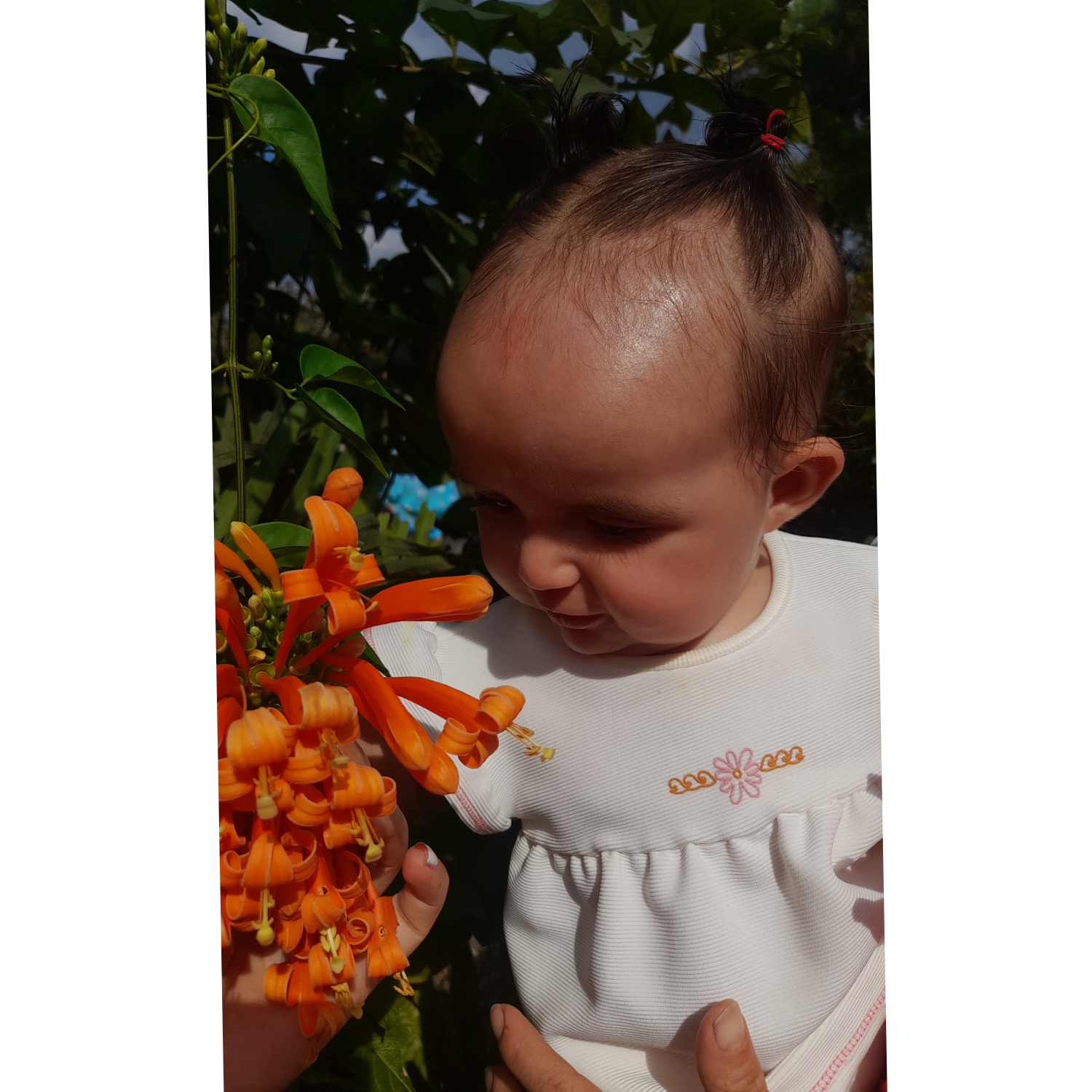 Foto de Alysson vicroria Quiroga marin