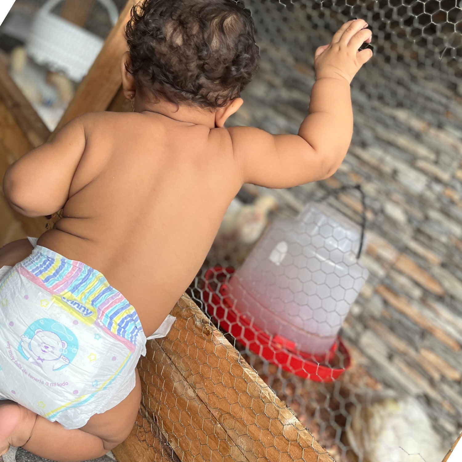 Foto de Luciana Montenegro jaramillo